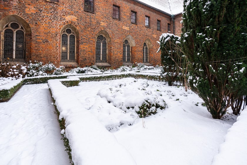 Wirydarz w Muzeum Architektury we Wrocławiu